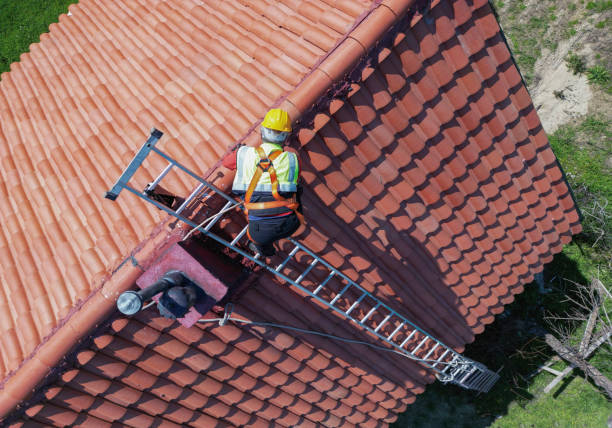 Best Storm Damage Roof Repair  in Pea Ridge, FL