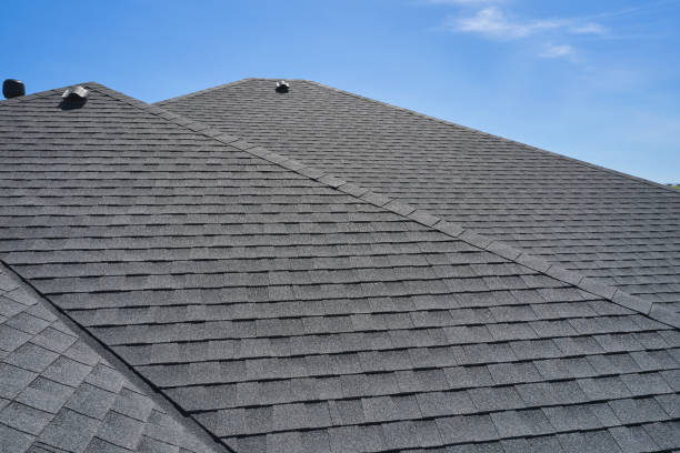 Best Roof Moss and Algae Removal  in Pea Ridge, FL
