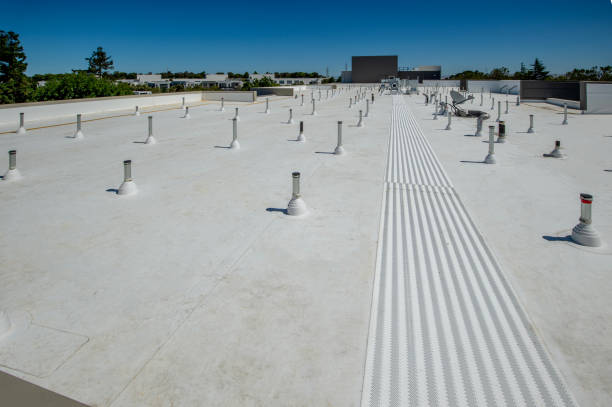 Best Gutter Installation and Repair  in Pea Ridge, FL